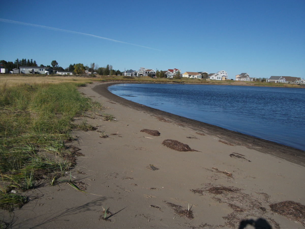 Attractions Things to do in Shediac, Moncton, Cocagne, Bouctouche